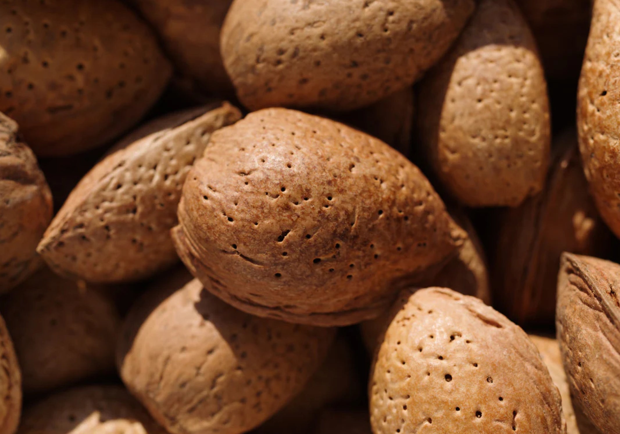 Sweet Almond Oil: Nature’s Secret for Nourished Skin