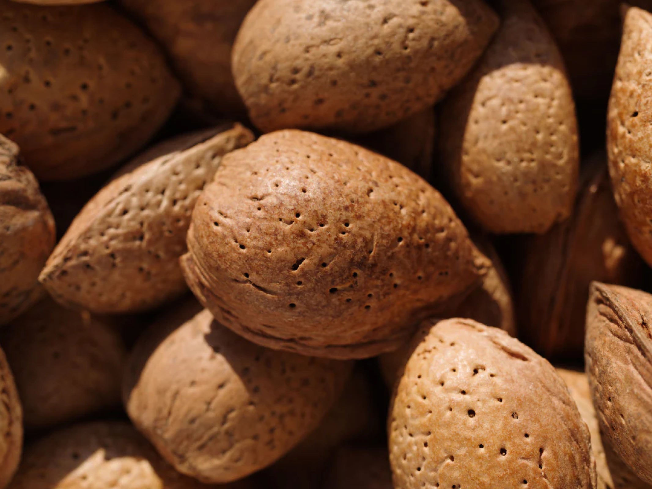 Sweet Almond Oil: Nature’s Secret for Nourished Skin